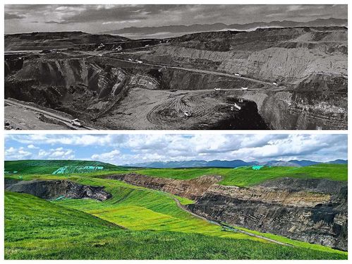 中國煤科實施系列生態環?？萍紕撔马椖?用實際行動守護綠水青山